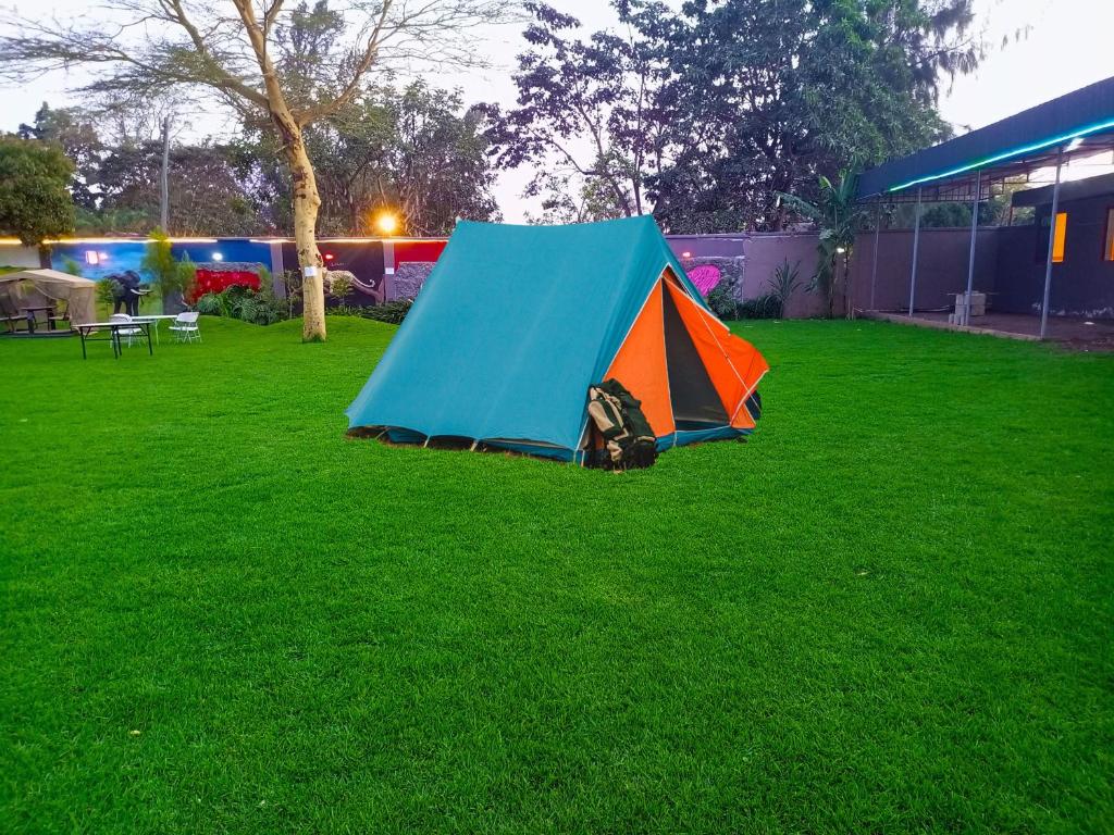 阿鲁沙Lush Garden Camping的蓝橙色的帐篷,坐在草地上