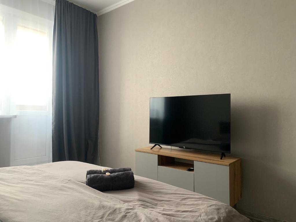 巴甫洛达尔1-комнатная квартира的一间卧室设有平面电视和一张床。