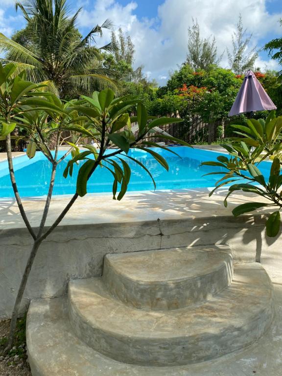 基济姆卡济Embe Lodge的一个带游泳池和棕榈树的度假村