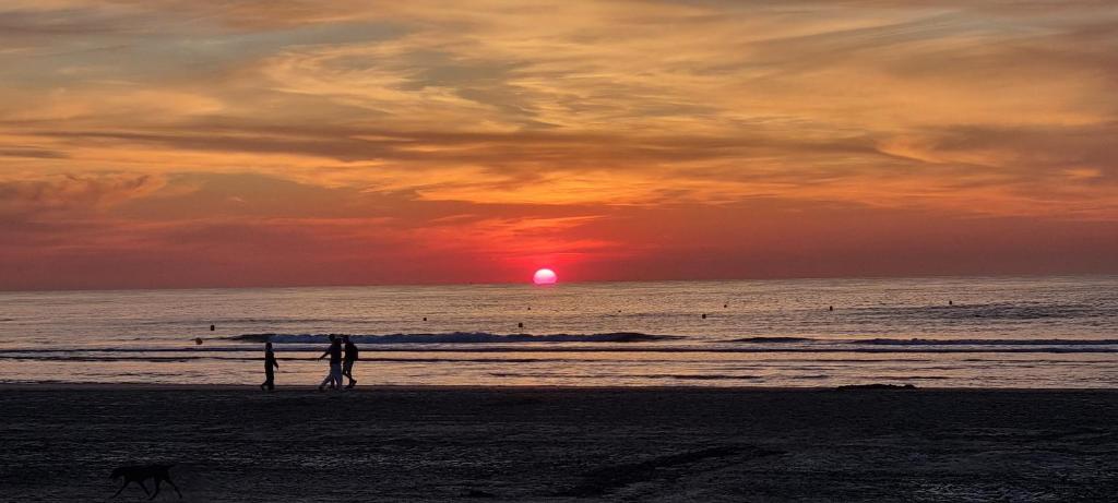 德帕内Superbe studio avec une magnifique vue sur la mer.的日落时在海滩上的人和狗