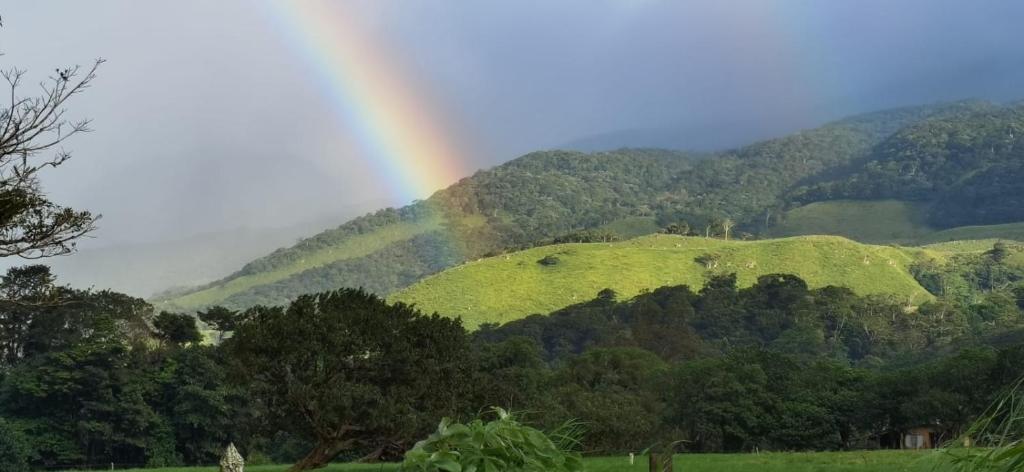 Aguas ClarasGREENHOUSE Loft Miravalles的一座带田野和树木的山丘上的彩虹