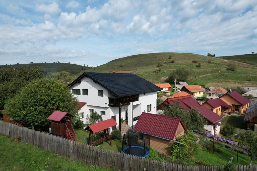 SubcetateCazare la Mitică的一组房子,后面有一座小山