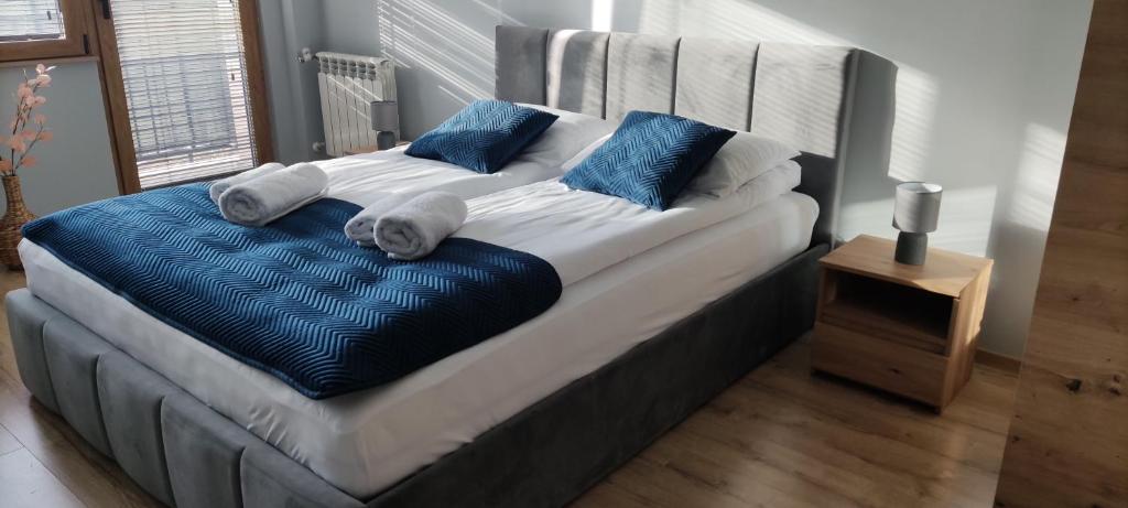 塔尔努夫Apartament Słoneczny的一张配有蓝色和白色枕头的大床
