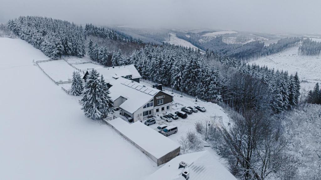 温特贝格Wittgensteiner Landhaus Winterberg的雪覆盖的房子的空中景色