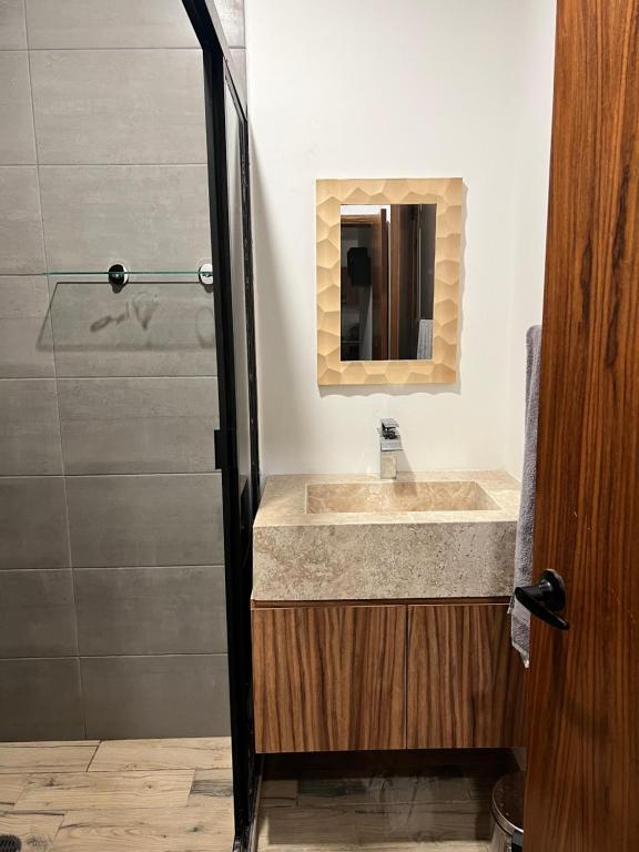GuadalupeTorre Riviera veracruzana的一间带水槽和镜子的浴室