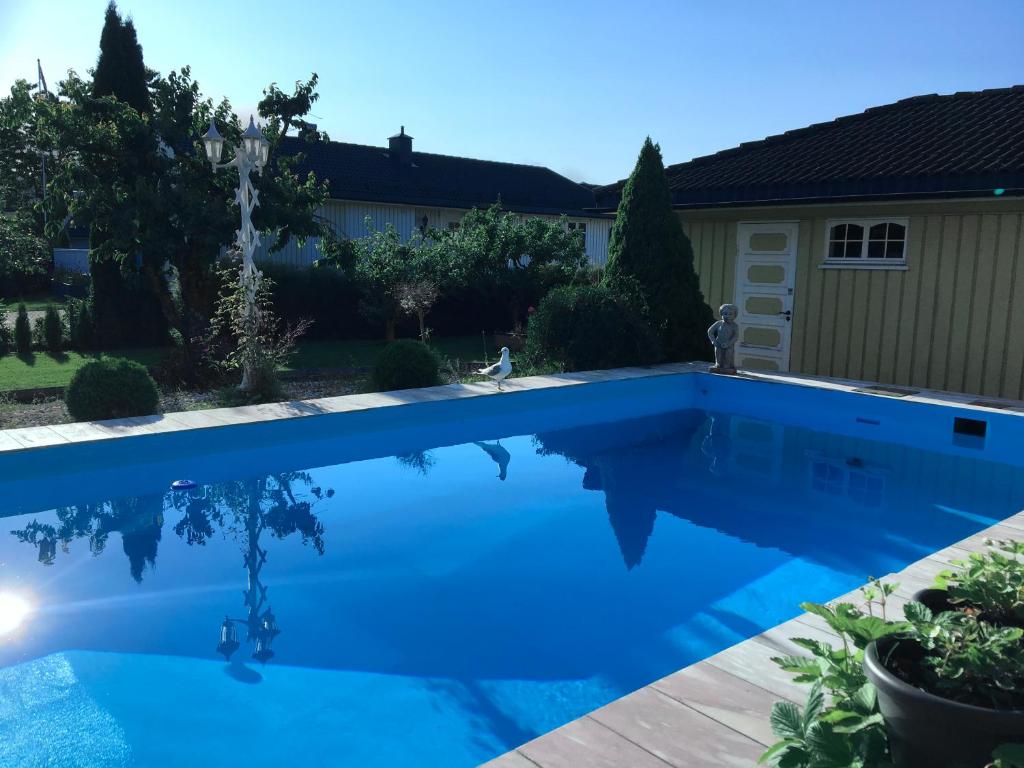 波什格伦Just Like Home Bed & Spa Porsgrunn的庭院里的一个蓝色海水游泳池