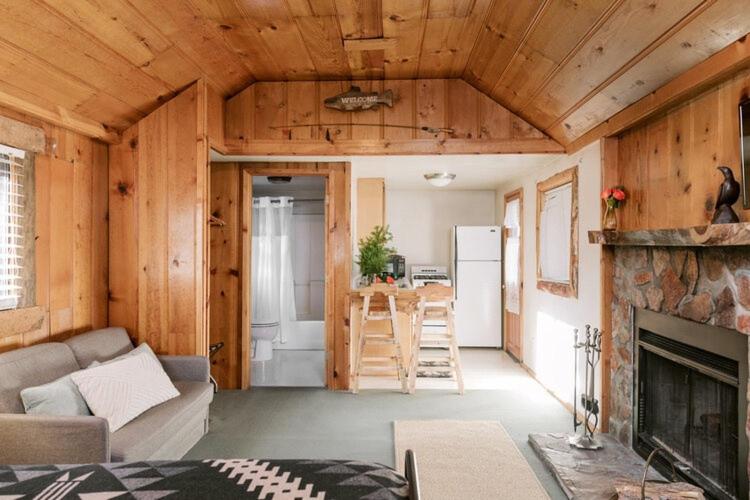 大熊湖2405 - Oak Knoll Studio #6 cabin的带沙发和壁炉的客厅