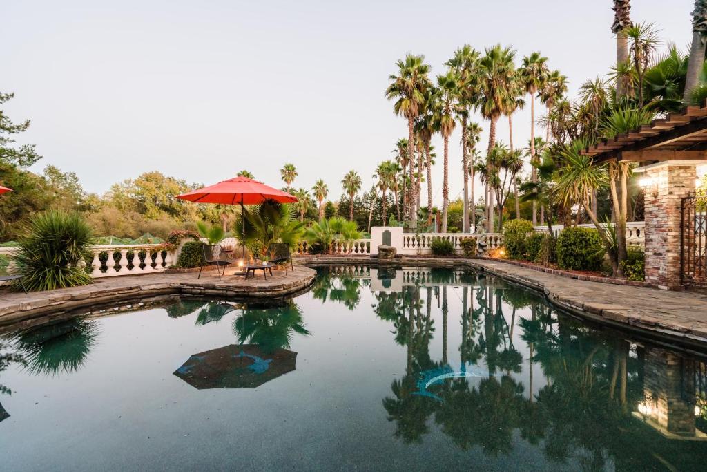 温莎Estrella by AvantStay Secluded Spanish-Style Estate on 7 Acres of Vineyards的一个带红色遮阳伞和棕榈树的游泳池