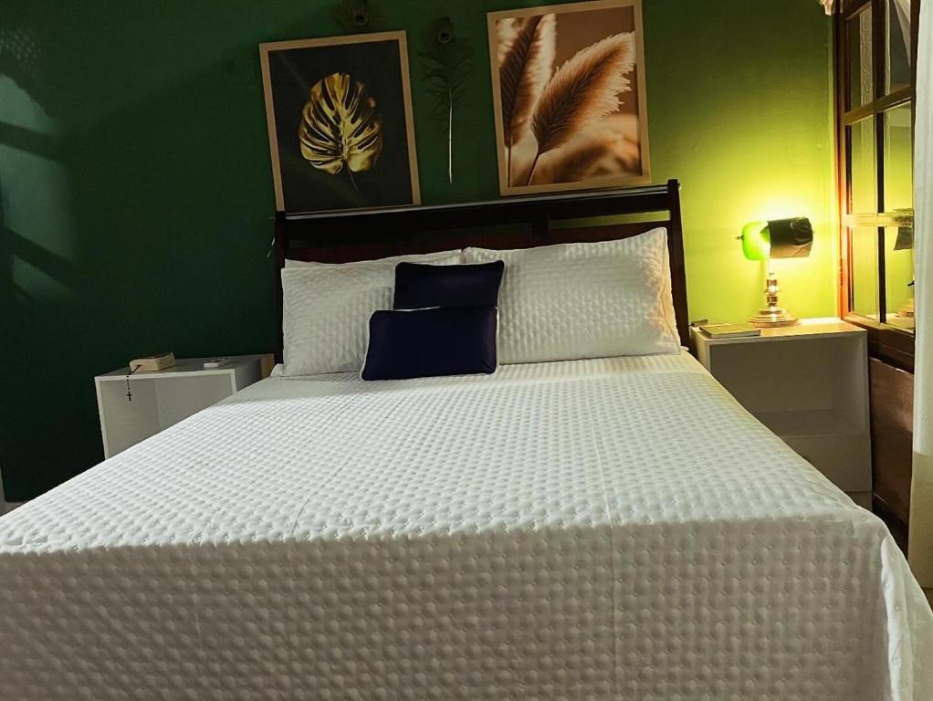 纳塔尔ACM Flat的一间卧室配有一张白色的床和绿色的墙壁