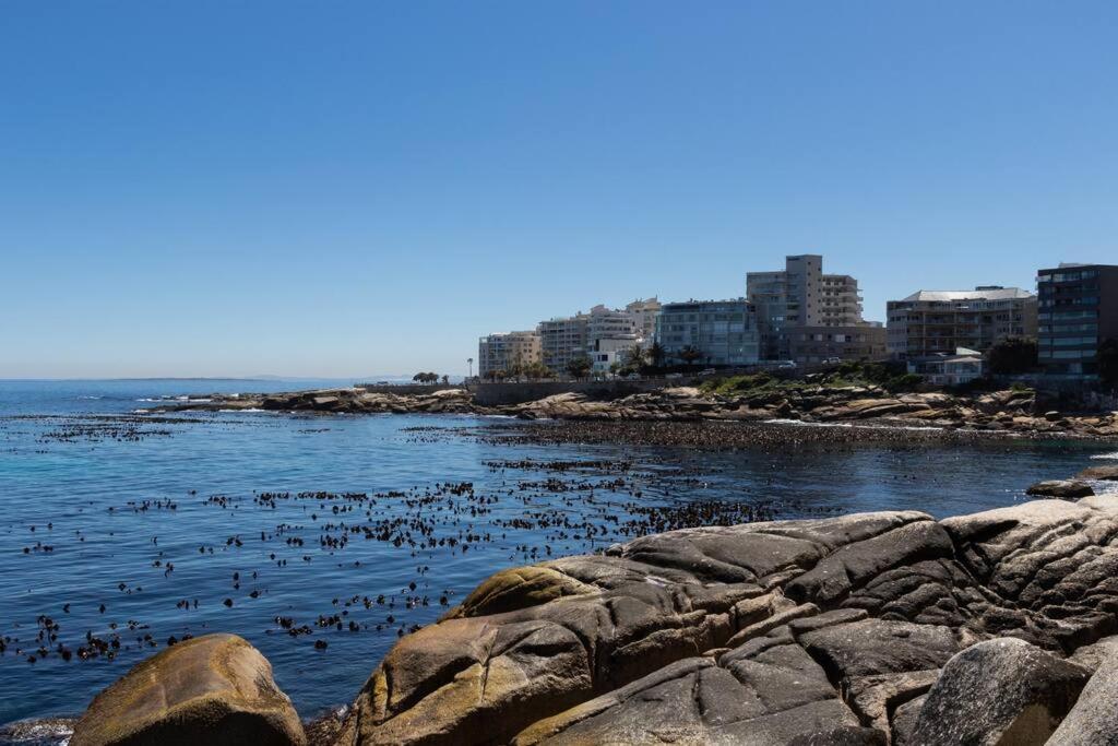 开普敦Modern & Luxurious Seaside Apartment的一群鸟在水中游泳