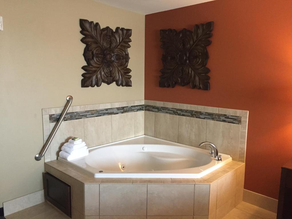 Mount HorebGrandstay Hotel & Suites Mount Horeb - Madison的带浴缸的浴室,拥有两幅艺术墙