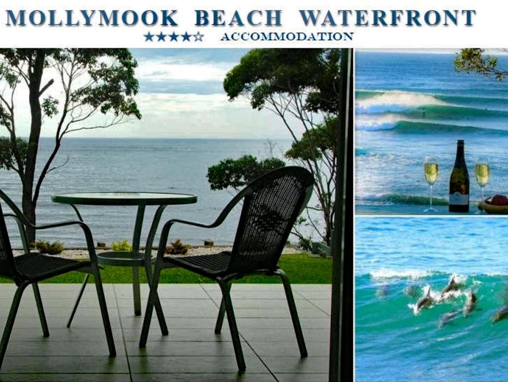 莫里莫科Mollymook Beach Waterfront的桌子、椅子、桌子和水