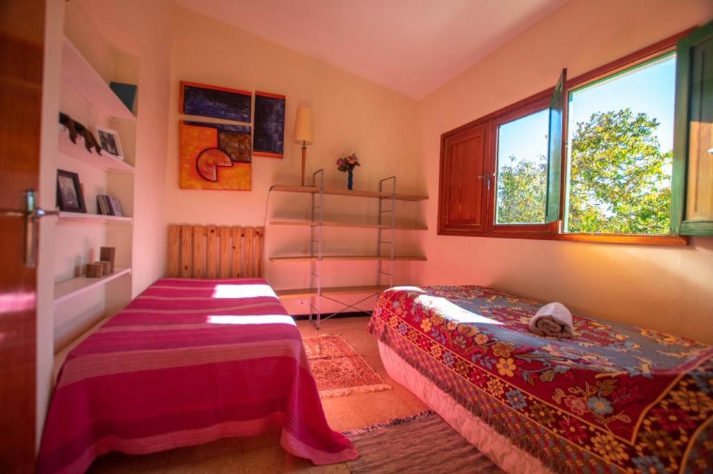 大加那利岛拉斯帕尔马斯Finca pajaritos的一间卧室设有一张床和两个窗户。
