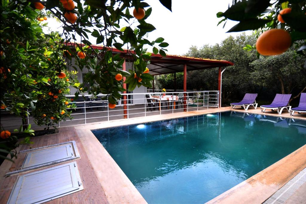 费特希耶Avci Villa-Fethiye 3+1 in Garden with Private Pool, 10 minutes to the beach的一座带两把椅子的游泳池,一座橘子树