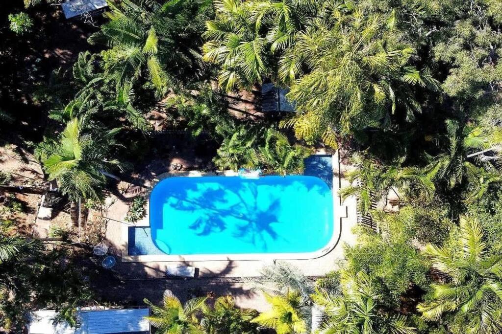 耐莉湾Project Tranquility, Magnetic Island的享有棕榈树游泳池的顶部景致