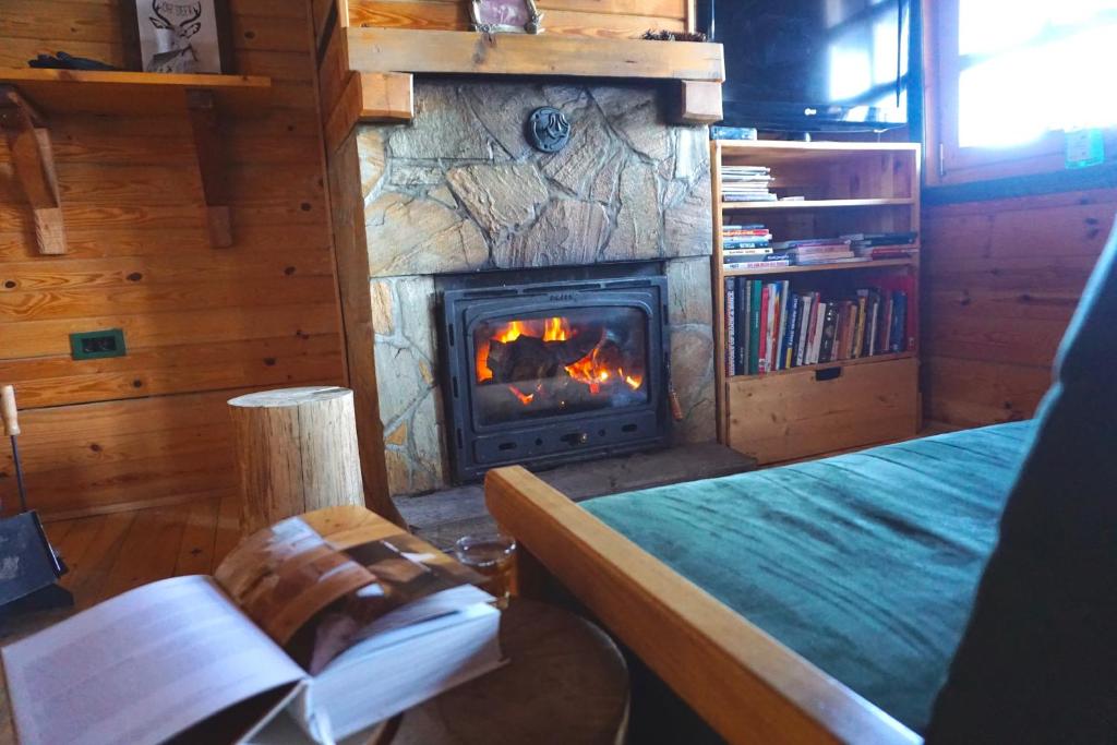 科帕奥尼克Cozy chalet Montana的一间壁炉,一间房间配有一张床和一本书