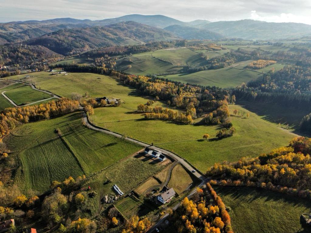 希隆斯克地区扎古热Sosnowe Wzgórze - Wypoczynek w Zagórzu Śląskim 1的山间农场的空中景观