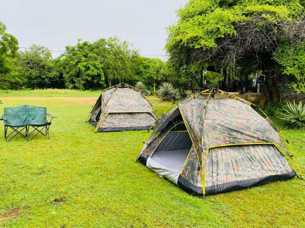 蒂瑟默哈拉默Yala Ying Yang Hostel & Camping的一群坐在草地上的三个帐篷