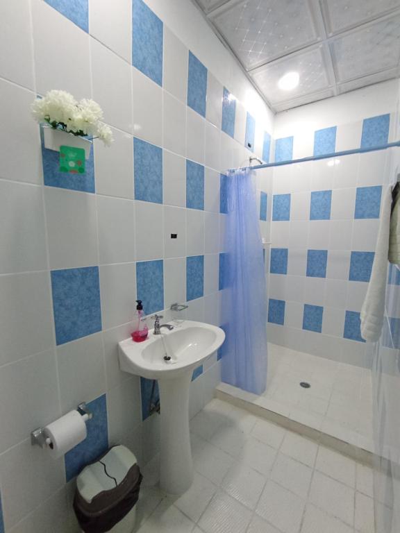 波托韦洛Belo Bay Apartment Hotel的蓝色和白色的浴室设有水槽和淋浴