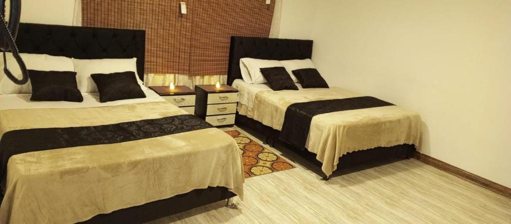 马尼萨莱斯Hotel Palo Grande的一间带两张床和梳妆台的卧室