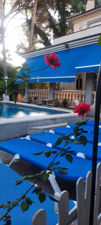 帕尔马海滩Villa Matias Pool and beach的水中种着红色花的游泳池