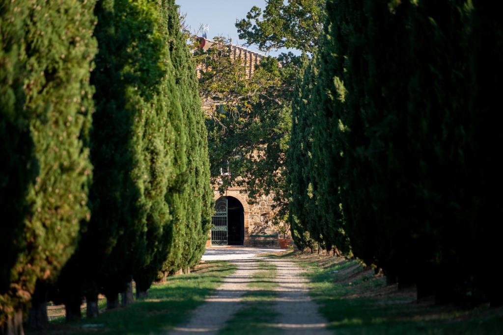 蒙塔尔奇诺Villa Le Prata - Farm House & Winery - Adults Only的一条树木大道,远处有一条隧道