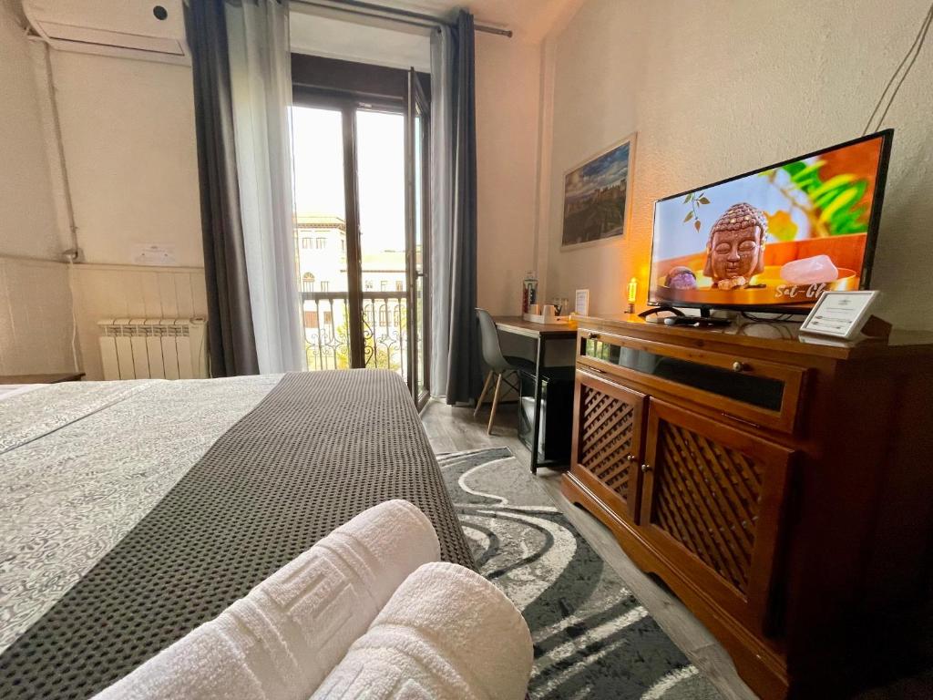 格拉纳达伊特尼尔旅馆的一间卧室配有一张床和一台平面电视