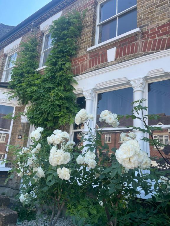 普拉姆斯特德Beautiful Traditional English 4 bedroom home in Greenwich的建筑前的白色玫瑰丛