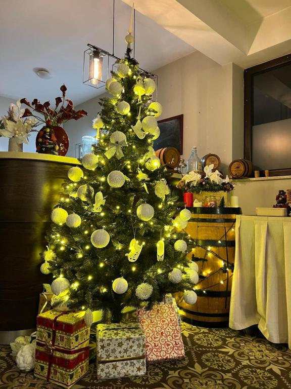 扎科帕内Hotel Nosal Ski & Wine的客厅里带礼物的圣诞树