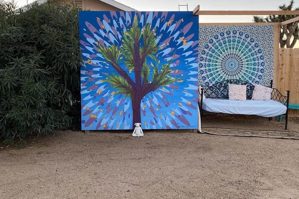Electroliquid&#39;s Casa Pueblo Joshua Tree外面的花园