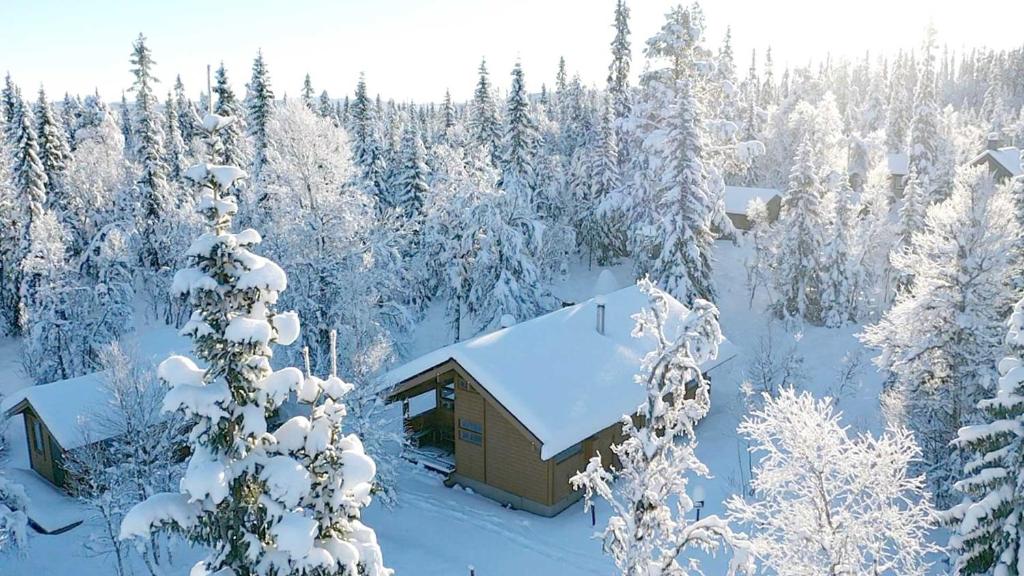 菲奈斯达伦Falkstigen 1的雪覆盖的森林中的小屋