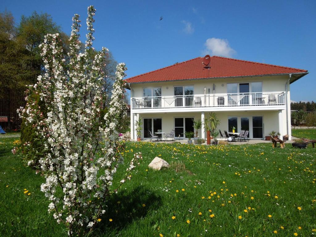 巴特瓦尔德塞Ferienhaus Steinenberg的院子里白色花的房子