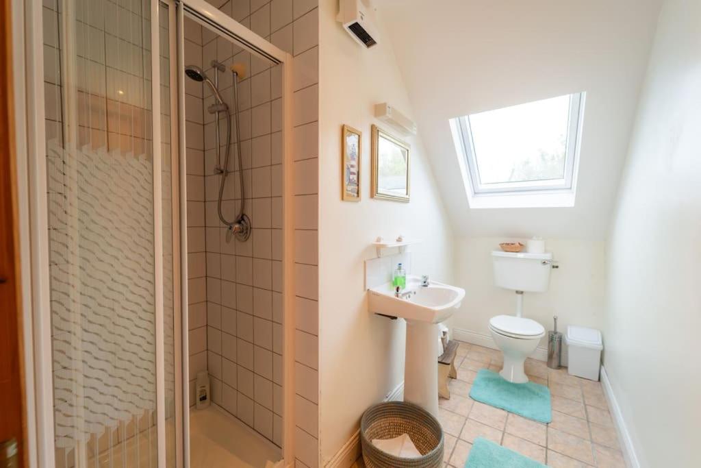 丁格尔Orchard Cottage的浴室配有卫生间、盥洗盆和淋浴。