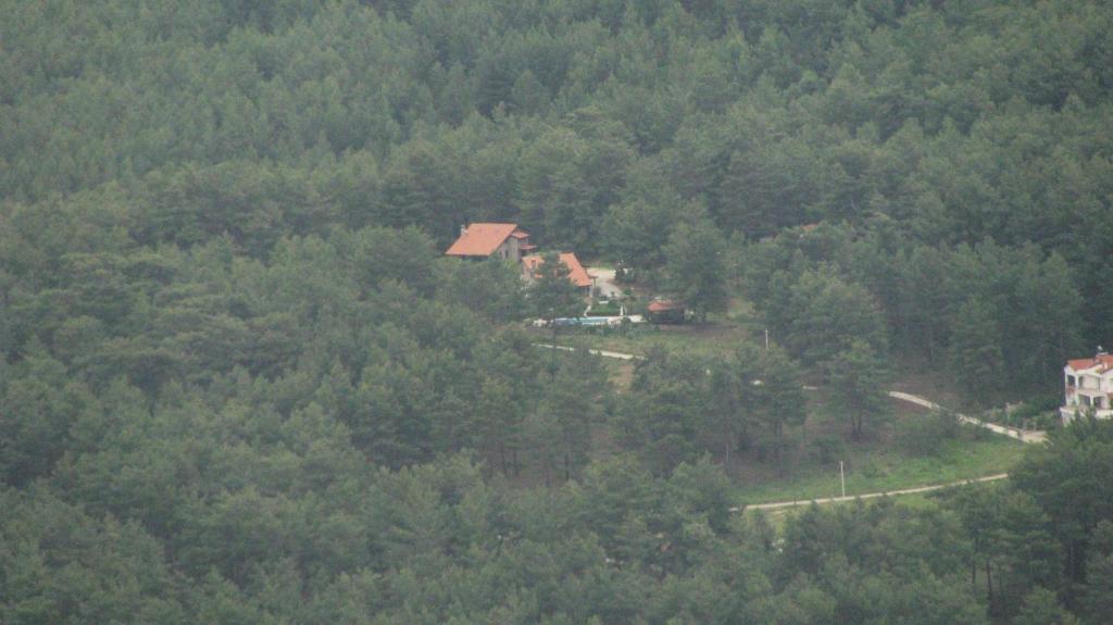 Uzumlu迪坎季克小屋酒店的森林中间房屋的空中景观