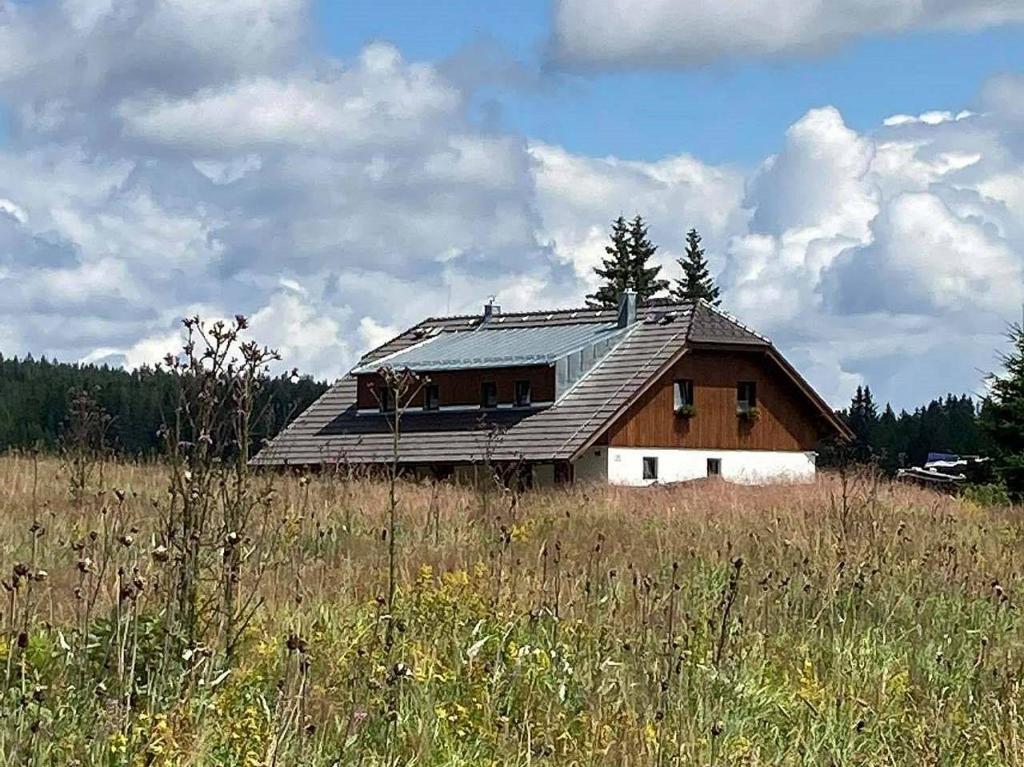 莫德拉瓦Apartmány v Chalupě nad Modravou的田野顶部有金属屋顶的房子