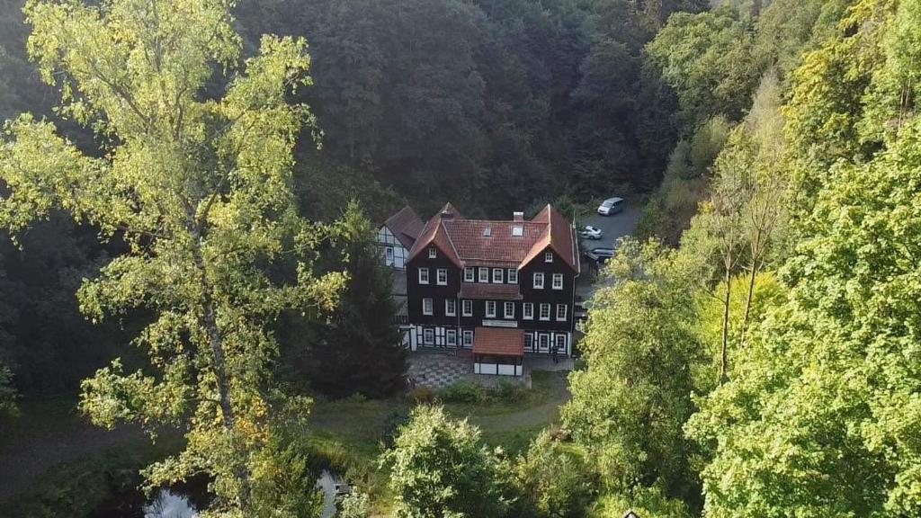 霍盖思Waldhaus Wolfsbachmühle的山丘上大房子的空中景色