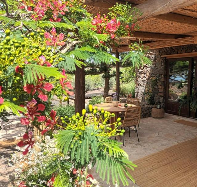 蒂亚斯La Finquita的庭院配有桌椅和鲜花