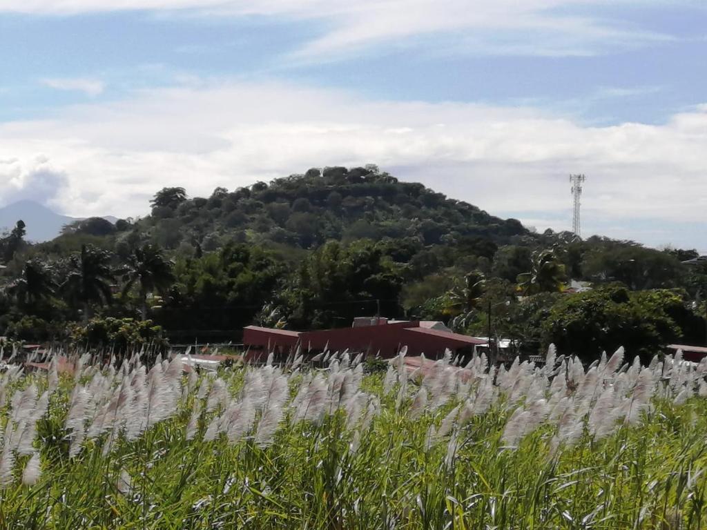 格雷西亚Mirada al Cerro, Apartamento completo的远处的山丘,有一片草地