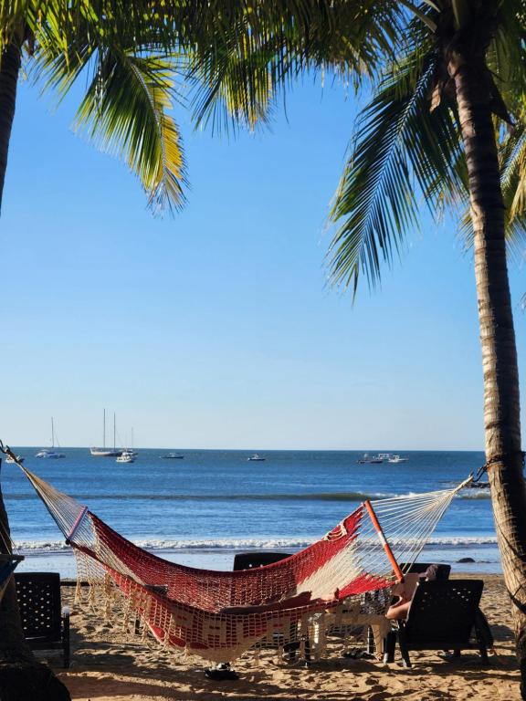 塔马林多Hotel La Palapa的棕榈树和海洋海滩上的吊床