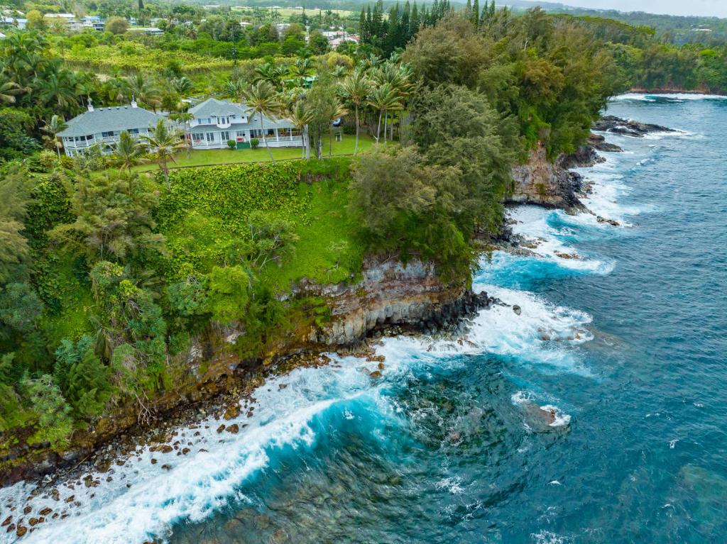 HonomuHamakua Hotel的海洋旁房子的空中景观