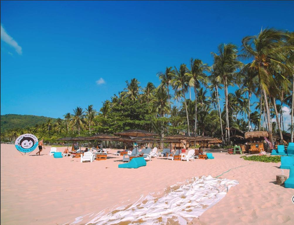 爱妮岛Mad Monkey Hostel Nacpan Beach的海滩上设有椅子和遮阳伞,棕榈树