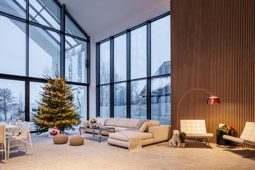 MikorzynBoskata Spa & Wellness Resort Ślesin的客厅配有圣诞树和沙发