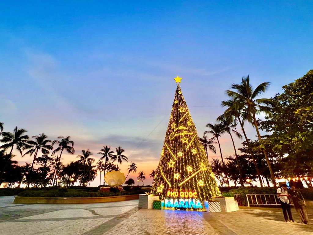 富国Anka Hotel的公园里用灯光装饰的圣诞树
