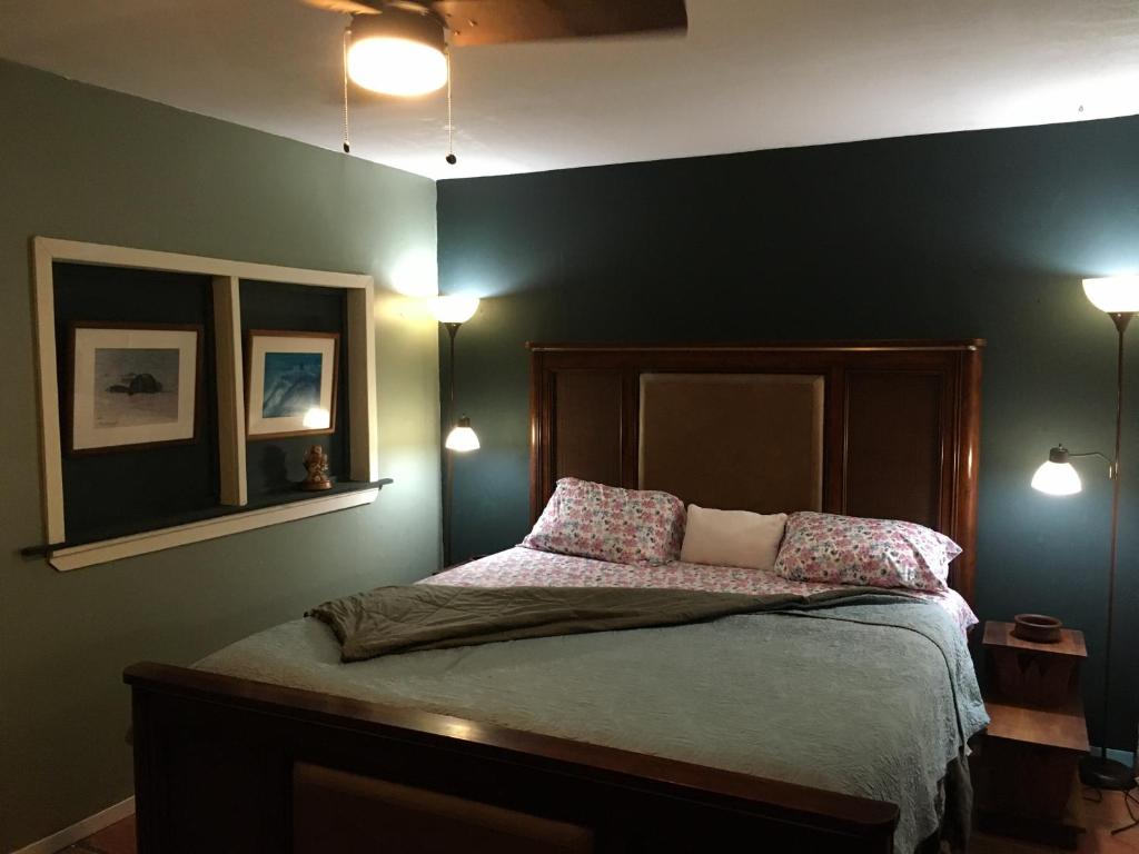凯阿奥The Hawaii Red House Apartment Private的一间卧室配有一张带两个枕头的床