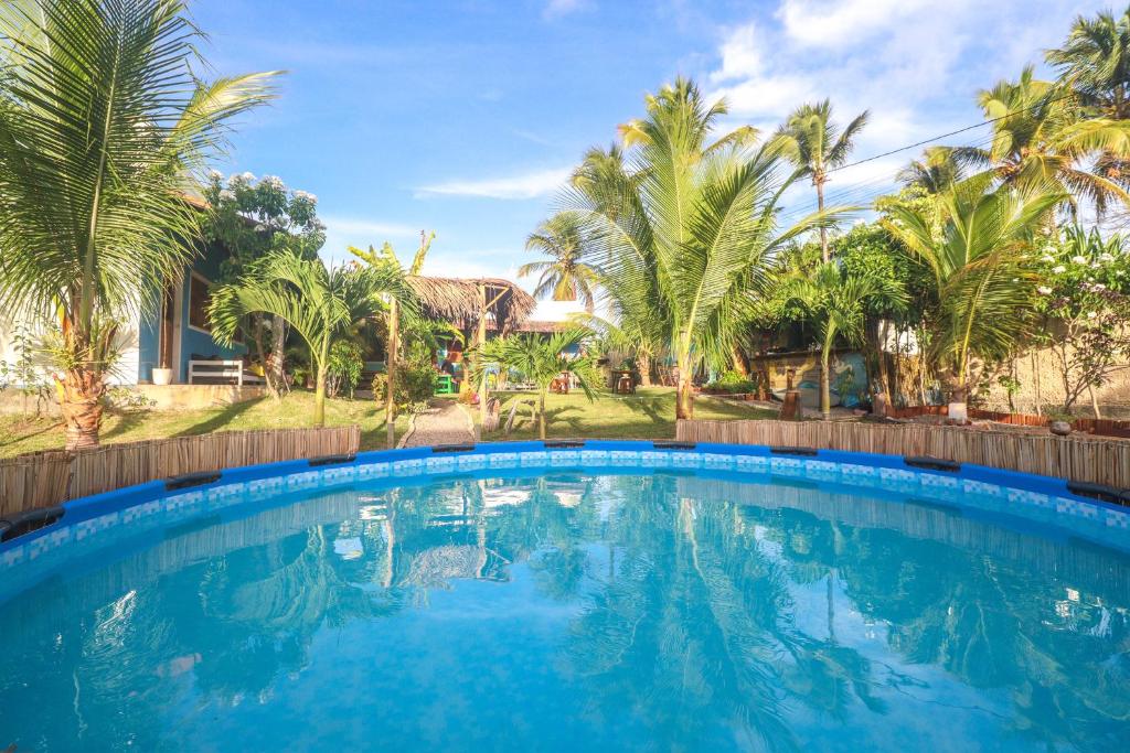 皮帕Back to the Beach Hostel - Pipa的棕榈树庭院里的一个大型游泳池
