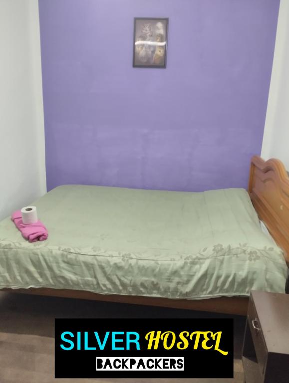 苏克雷SILVER HOSTEL的一张带绿色床垫和一双粉红色鞋的床