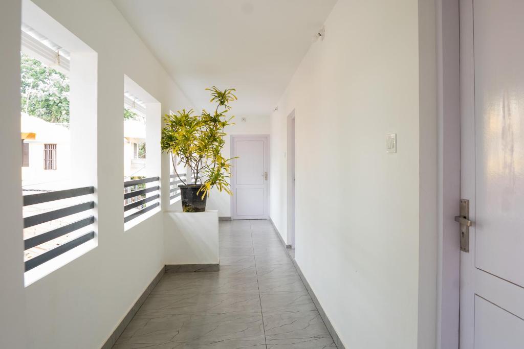 瓦尔卡拉Avanthi Homestay的一条有白色墙壁的走廊和一扇种植了盆栽植物的门