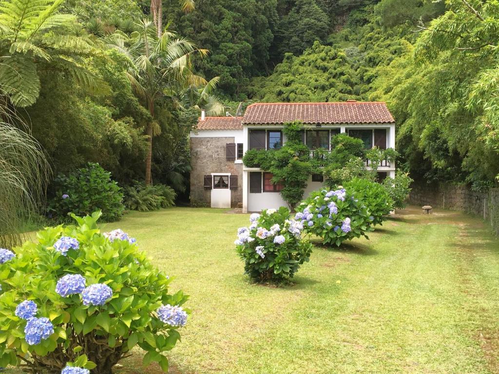 富尔纳斯Casa da Cascata的院子里的蓝色和白色花房