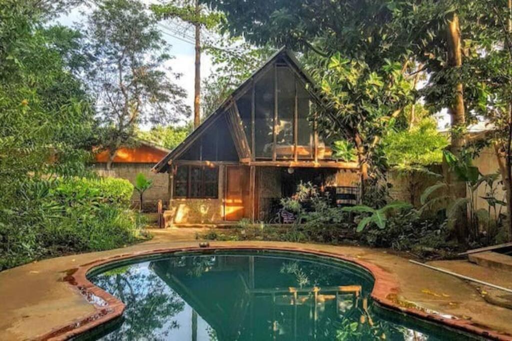 阿鲁沙Cottage in Arusha-Wanderful Escape的前面有游泳池的房子