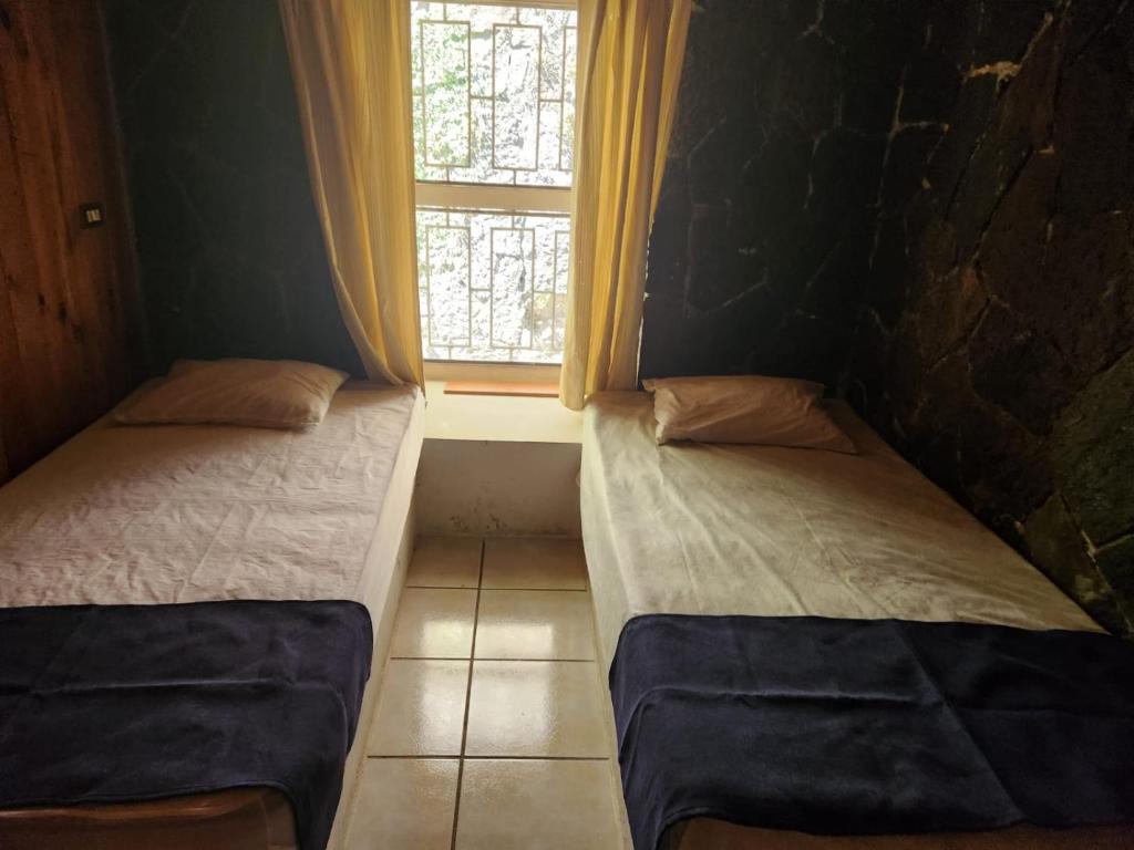 Cerro de OroCASA XOCOMIL的小型客房 - 带2张床和窗户